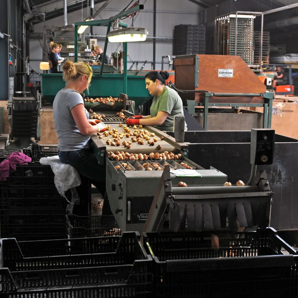 10 verrassend leuke feitjes over werken in de productie