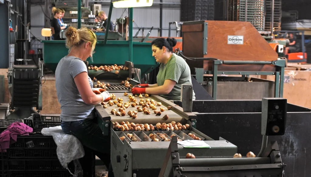 10 verrassend leuke feitjes over werken in de productie